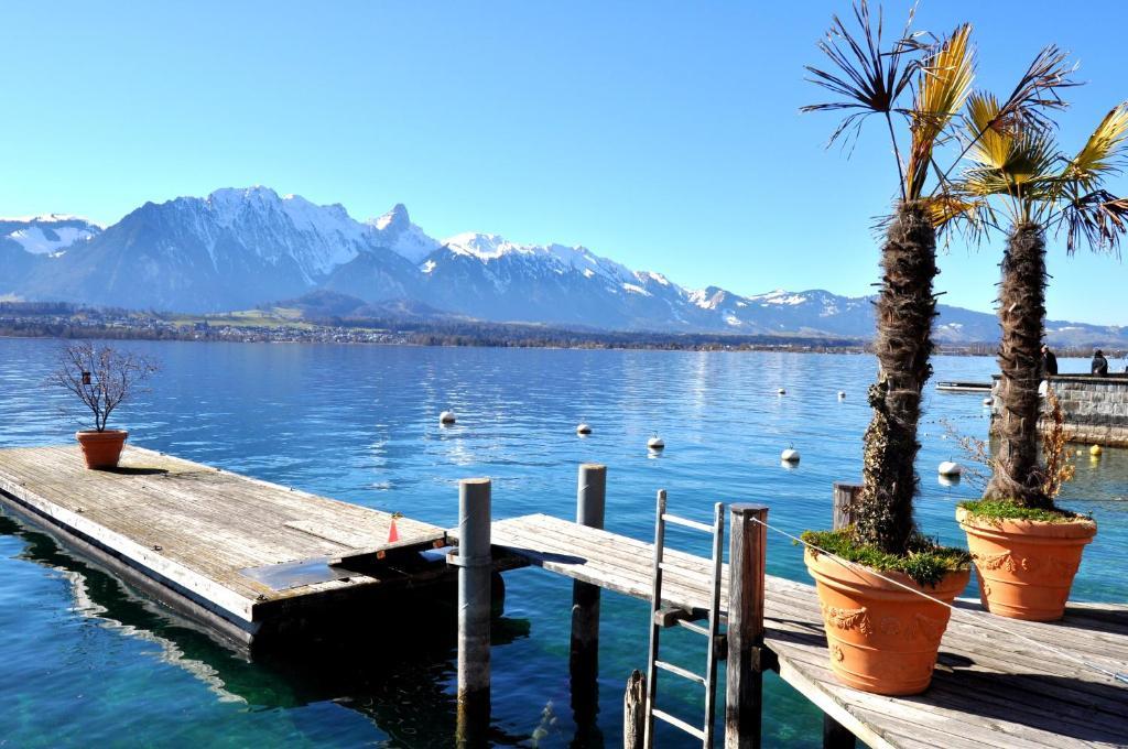 Hotel Restaurant Bellevue Au Lac Thun Dış mekan fotoğraf